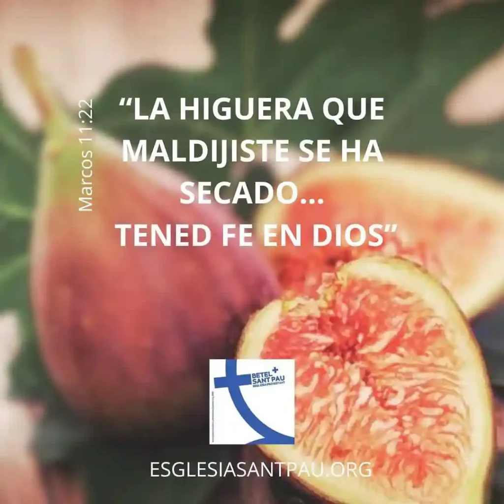 Tened-fe-en-Dios